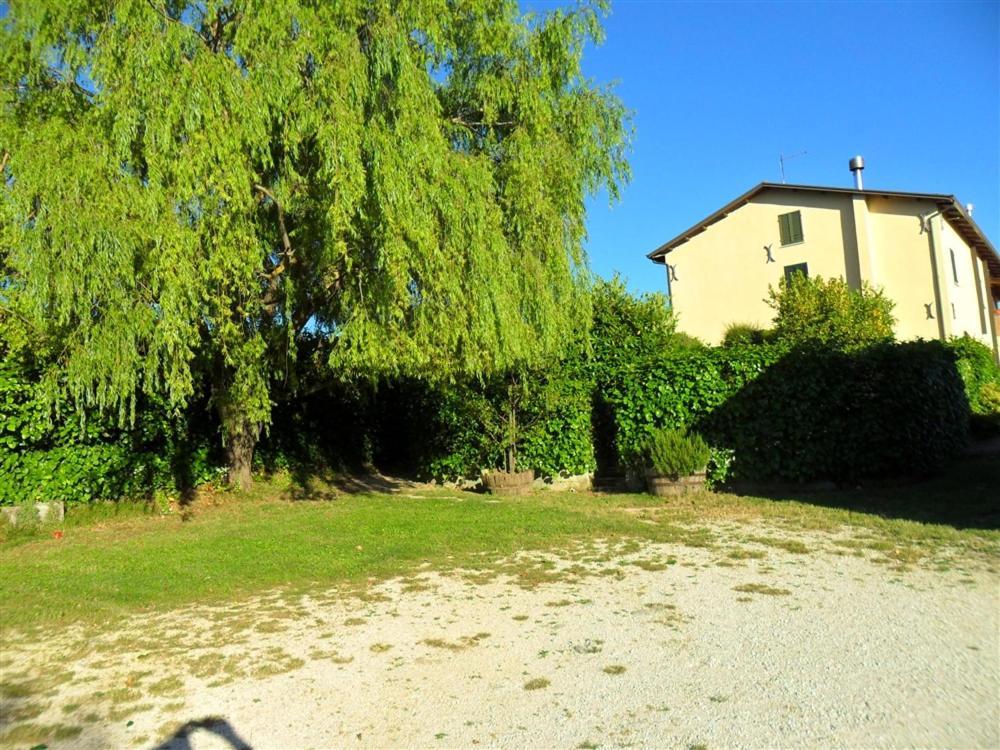 La Cinci Allegra Valfabbrica Bagian luar foto