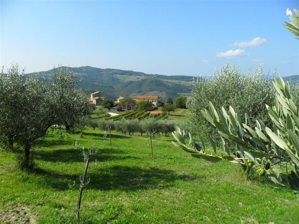 La Cinci Allegra Valfabbrica Bagian luar foto