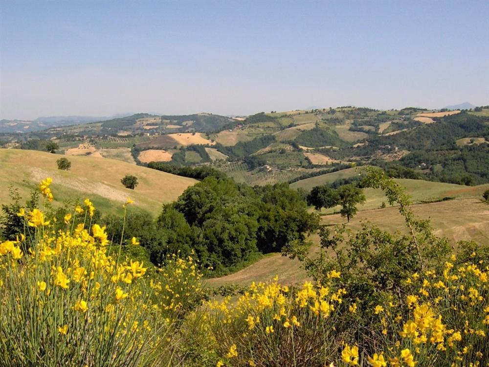 La Cinci Allegra Valfabbrica Bagian luar foto