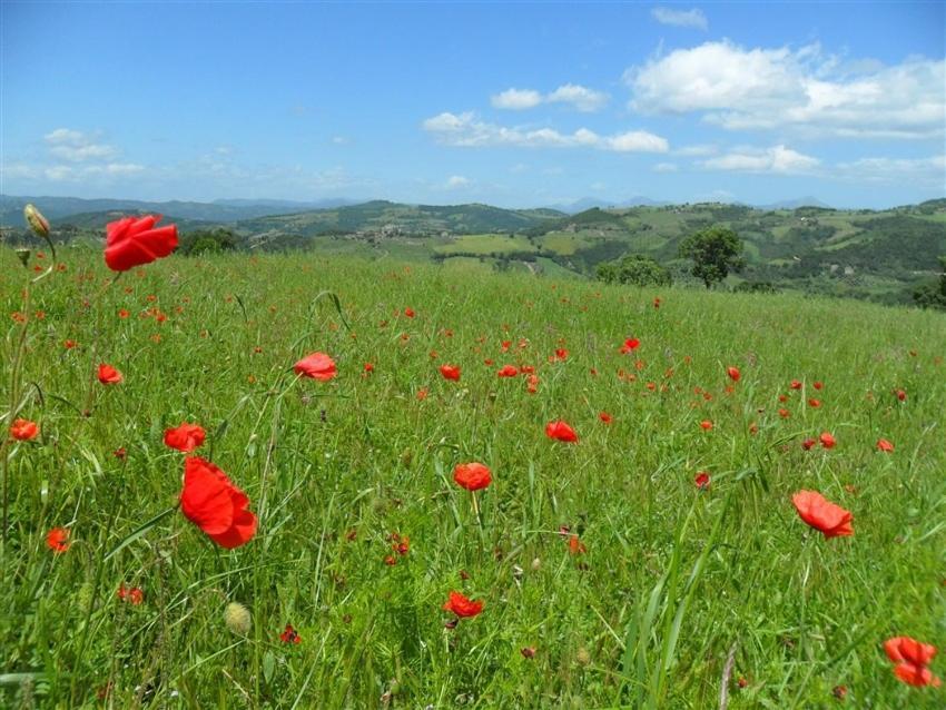 La Cinci Allegra Valfabbrica Bagian luar foto